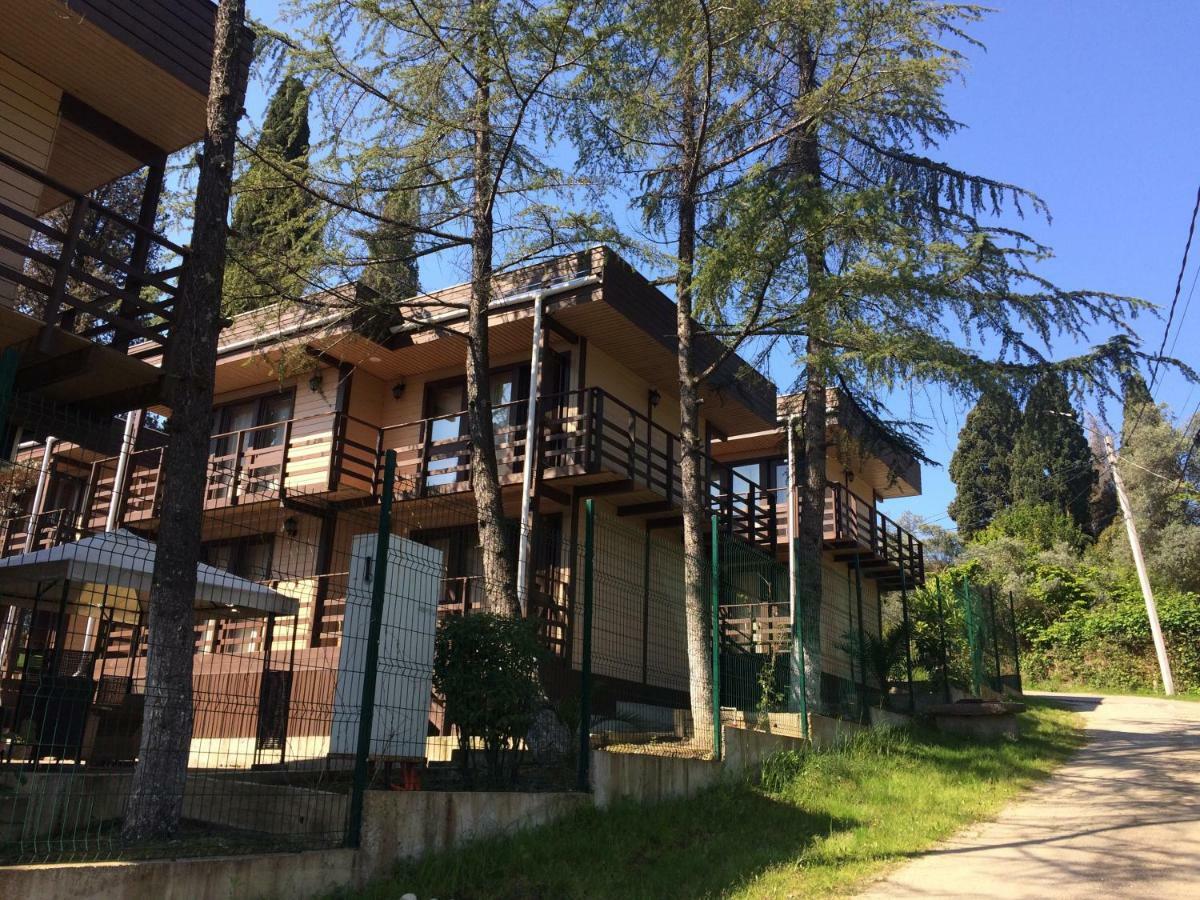 Hotel Eco Village New Athos Dış mekan fotoğraf